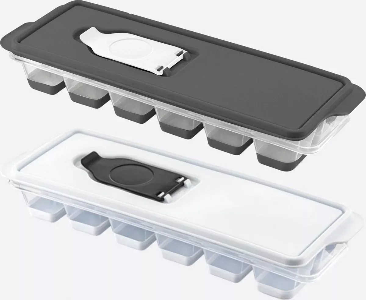 Speciale Ijsblokjesvorm Met Silicone Drukkers Set 2 Delig